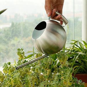 Minimalist Plant Watering Can