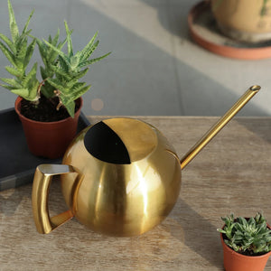 Minimalist Plant Watering Can