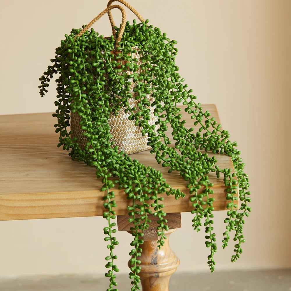 succulent that looks like ivy Faux Succulent Ivy