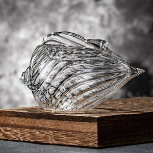 Conch Shell Glass 2-Piece Set