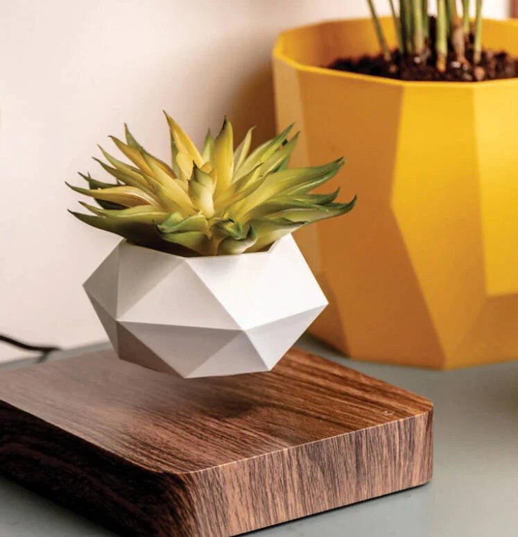 Levitating Flower Pots: Elevating Your Home Decor and Spirit - BRECK + FOX