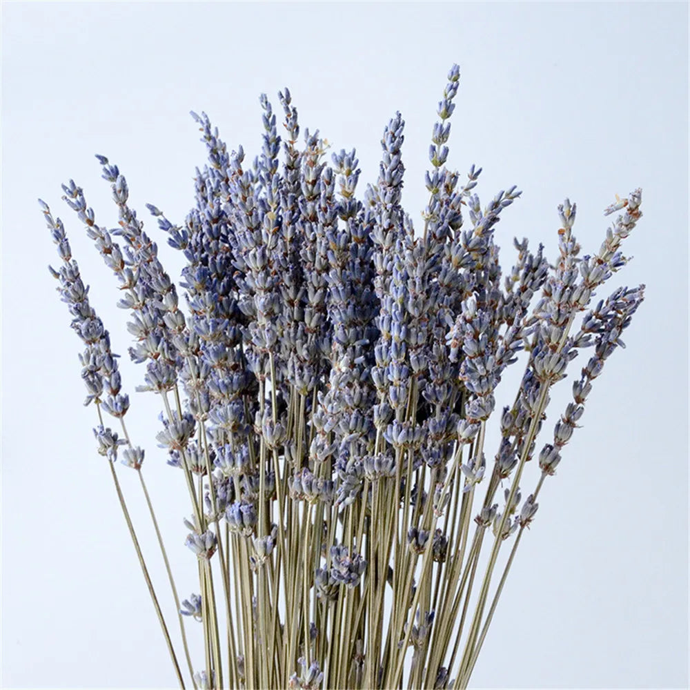 Natural Dried Lavender