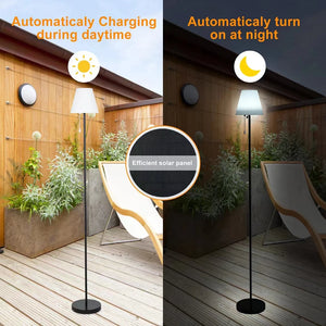 Solar Adjustable Floor Lamp