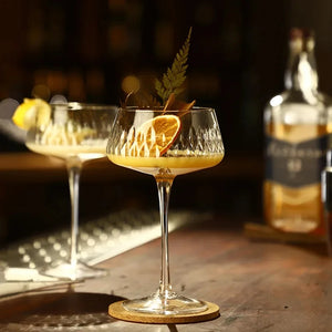 Elegant 2-Piece Cocktail Coupe Set