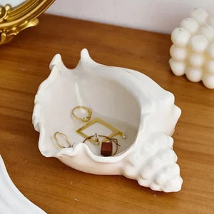 Conch Shell Storage