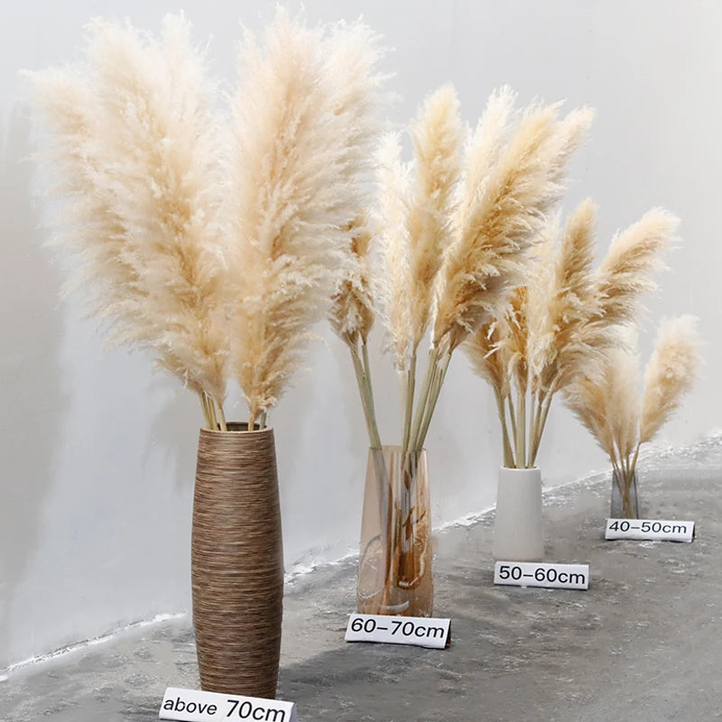 Dried Natural Grass Plumes 10-Piece Set