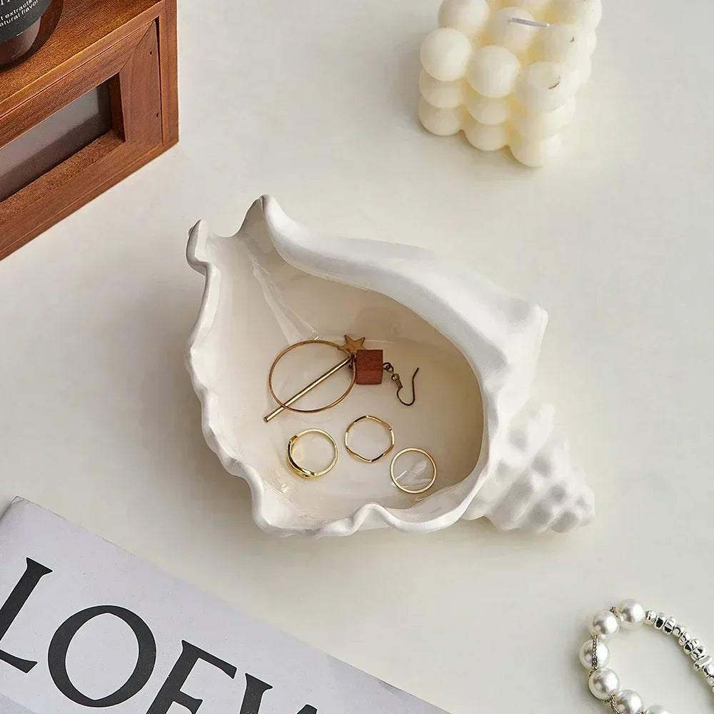 Conch Shell Storage