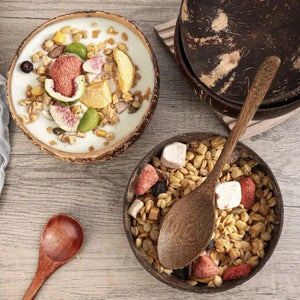 Rustic Coconut Shell Bowl and Spoon Set