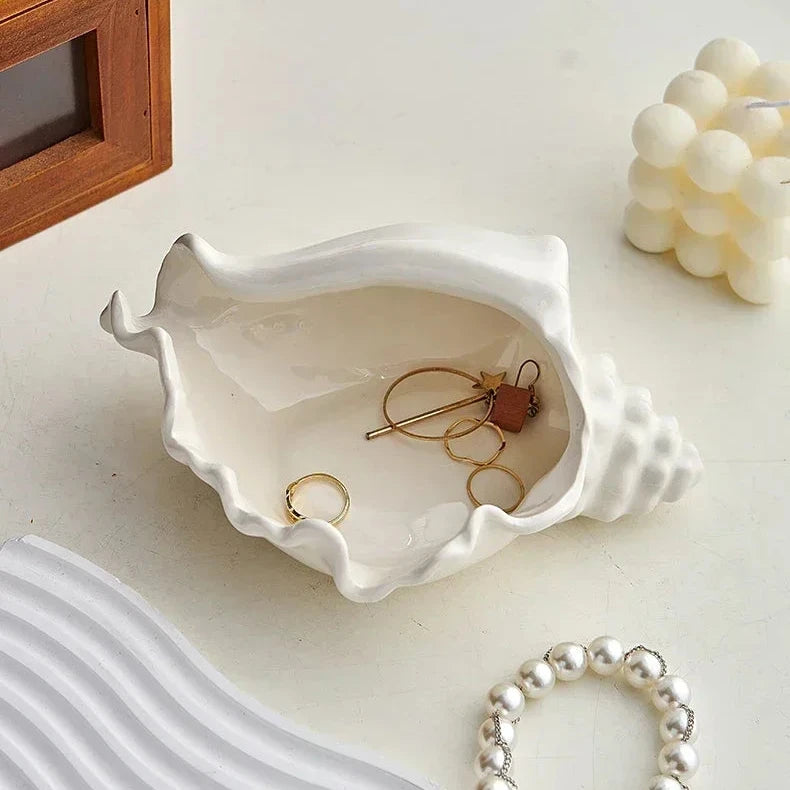 Conch Shell Storage