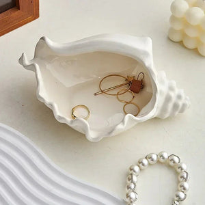 Conch Shell Storage