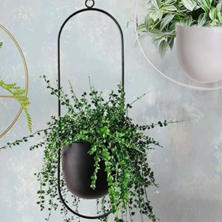 Halo Hanging Plant Pot - Breck and Fox