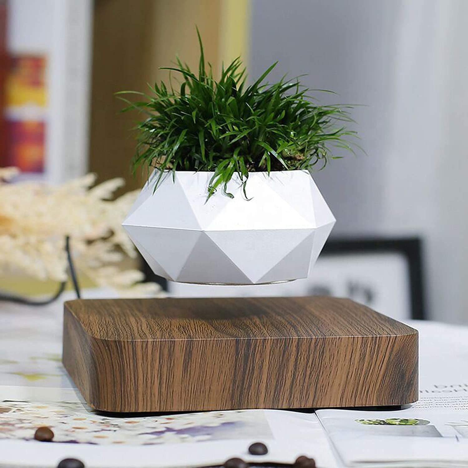 floating magnetic plant pot Levitating Flower Pot