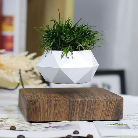 Shoppers Are Obsessed With Levitating Planters - Forbes Vetted