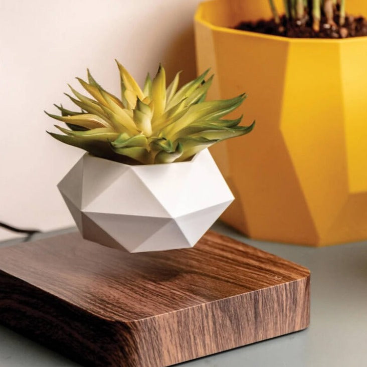 levitating planter pot Levitating Flower Pot