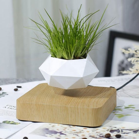 Shoppers Are Obsessed With Levitating Planters - Forbes Vetted