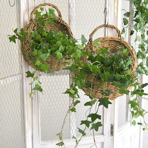 rattan hanging wall planter Rattan Hanging Wall Planter